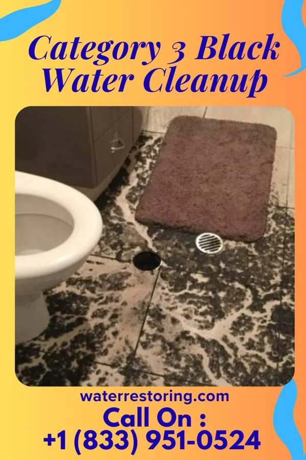 Category 3 Black Water Cleanup in Opa-locka, FL
